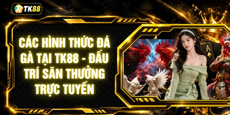 Các Hình Thức Đá Gà Tại TK88 - Đấu Trí Săn Thưởng Trực Tuyến