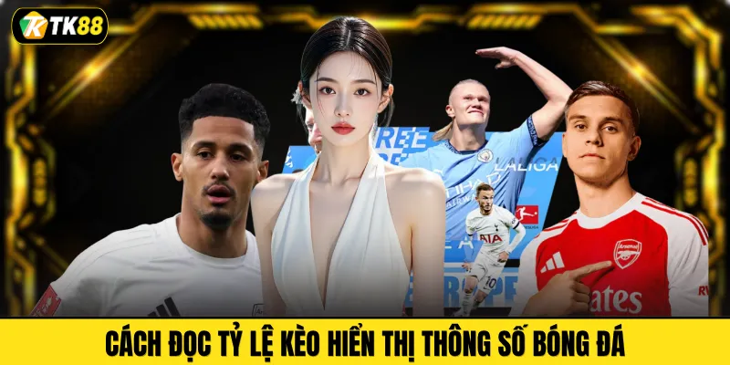 Cách đọc tỷ lệ kèo hiển thị thông số bóng đá