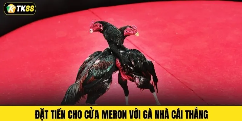 Đặt tiền cho cửa Meron với gà nhà cái thắng