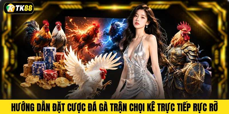 Hướng dẫn đặt cược đá gà trận chọi kê trực tiếp rực rỡ